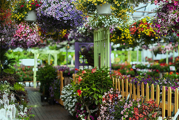 The Landscape Connection thrives on our emphasis on family and home oriented products and services. Meander down the many aisles of plants, gifts, perennials, garden items, flowers, landscape supplies, landscape lighting products, outdoor living area products like patio furniture, outdoor kitchens and so much more! The Landscape Connection is truly a hidden gem of Rockford, Illinois so come and “surround yourself” with family, friends, fun and nature!